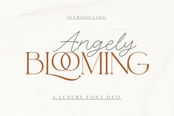Angely Blooming: A Designer's Honest Review