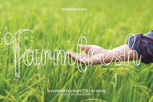 Farmfresh Font: A Handmade Maker's Sweet Script for Shop Favorites
