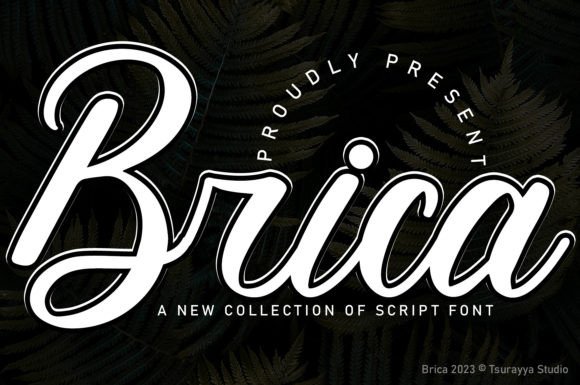 Testing Brica Font for a Real Branding Project