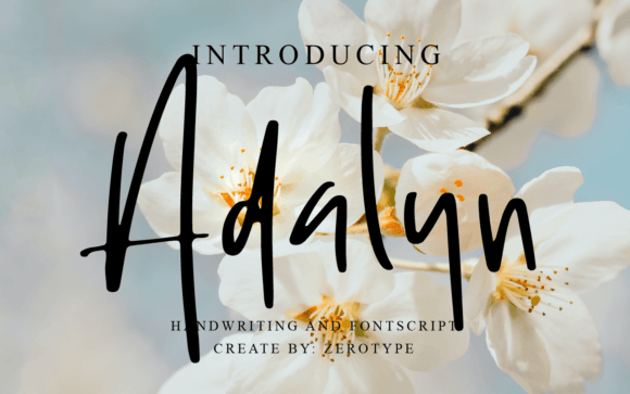 Why Adalyn Font Brings a Natural Luxury Feel to Web Design
