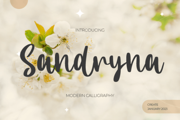 Why Sandryna Belongs in Your Editorial Type Toolkit