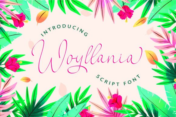 Woyllania: A Script Font for Editorial Warmth